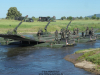 2025-grand-crossings-wehrbergen-plac39fhenrich-046