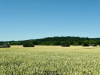 2025-grand-crossings-weser-schober-035