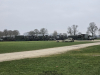 2025-stumpeding-bison-de-vries-07