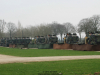 2025-stumpeding-bison-de-vries-40