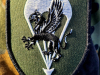 2026-blaue-kralle-wiegmann-15