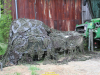 2026-rhino-storm-de-vries-012