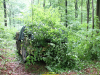 2026-rhino-storm-de-vries-050