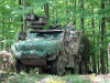 2026-rhino-storm-de-vries-077